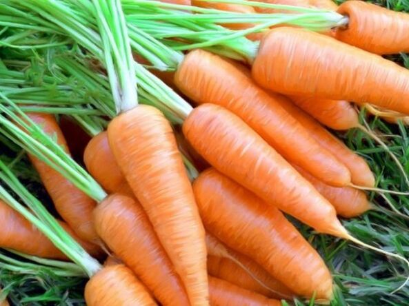 Karotten- und Karottenöl zur Hautverjüngung